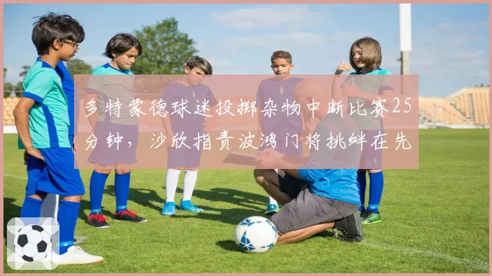 多特蒙德球迷投掷杂物中断比赛25分钟，沙欣指责波鸿门将挑衅在先
