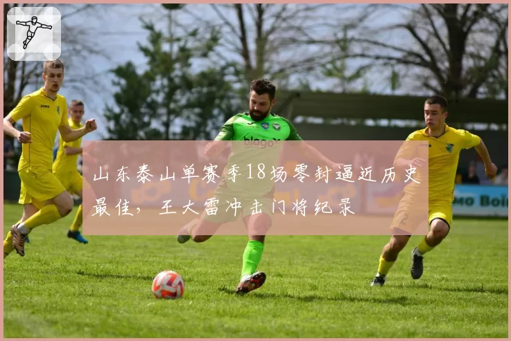 山东泰山单赛季18场零封逼近历史最佳,王大雷冲击门将纪录