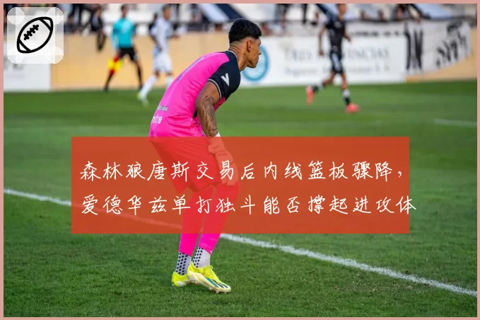 森林狼唐斯交易后内线篮板骤降，爱德华兹单打独斗能否撑起进攻体系？