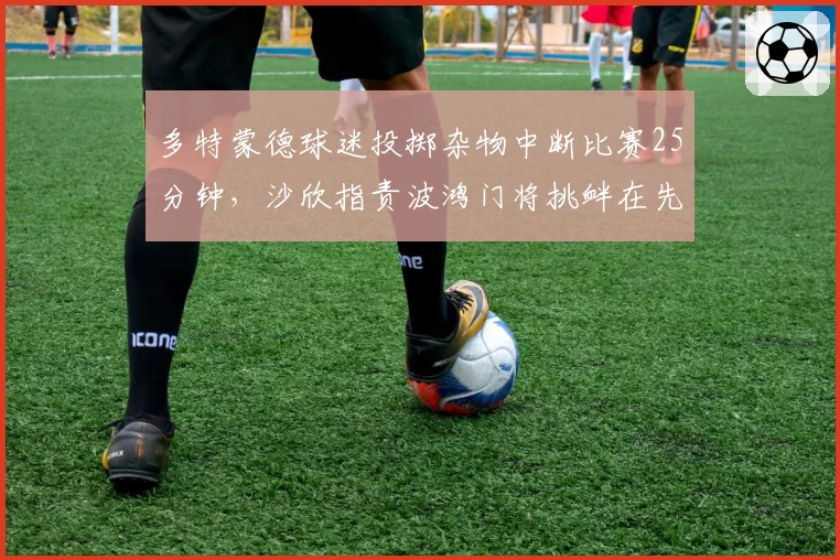多特蒙德球迷投掷杂物中断比赛25分钟，沙欣指责波鸿门将挑衅在先